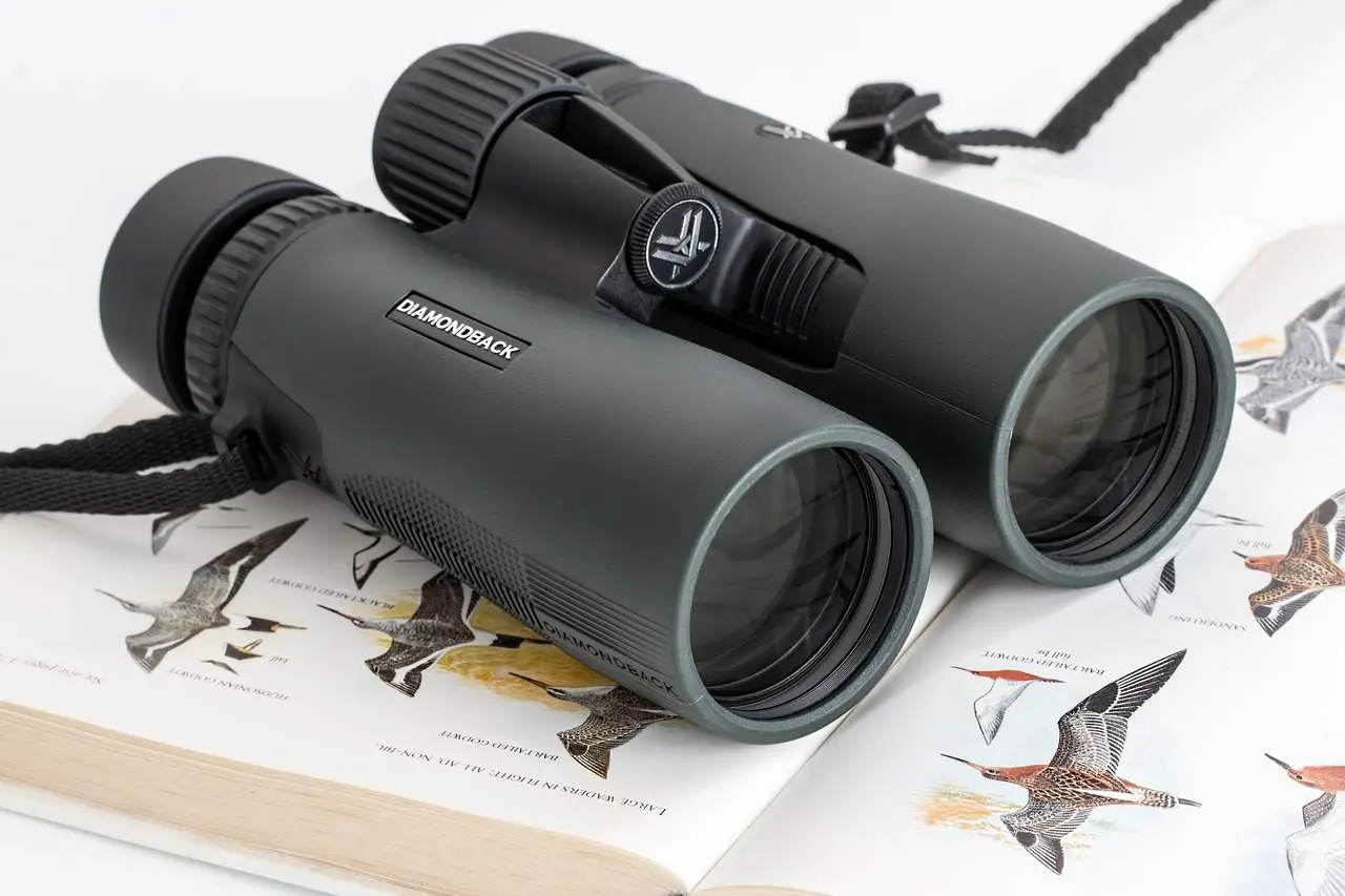 How to choose binoculars for birding