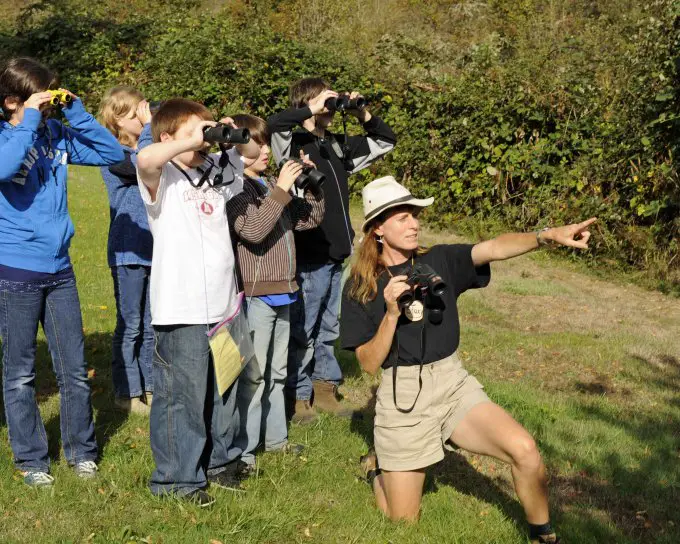 How to choose binoculars for wildlife viewing