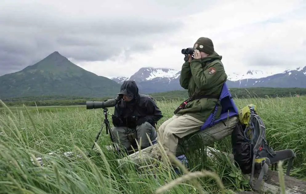 tips on choosing wildlife binoculars