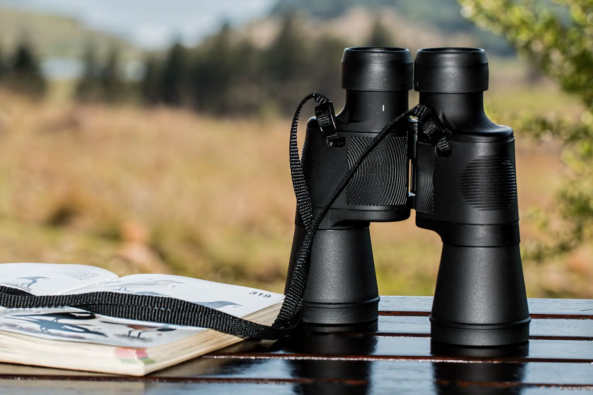 Understanding Binoculars