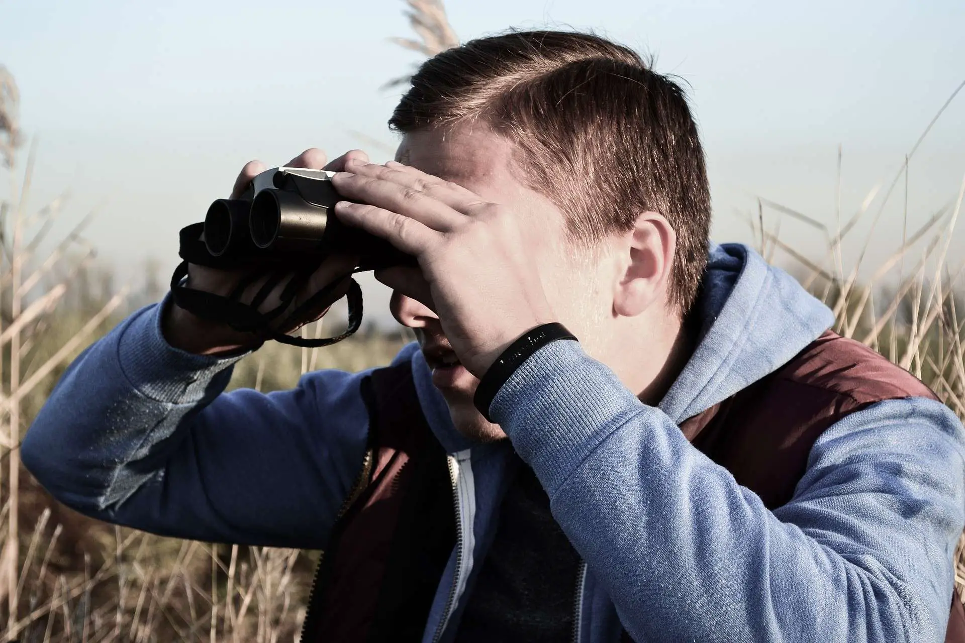 best binoculars under 500