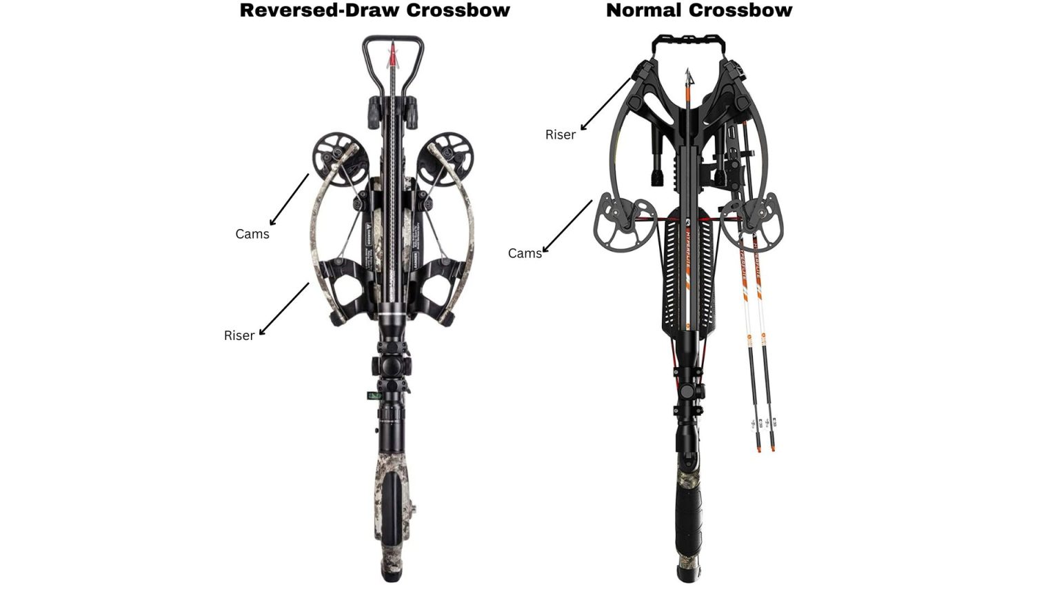 ReverseDraw Crossbow vs Regular Crossbow Binoculars Guru