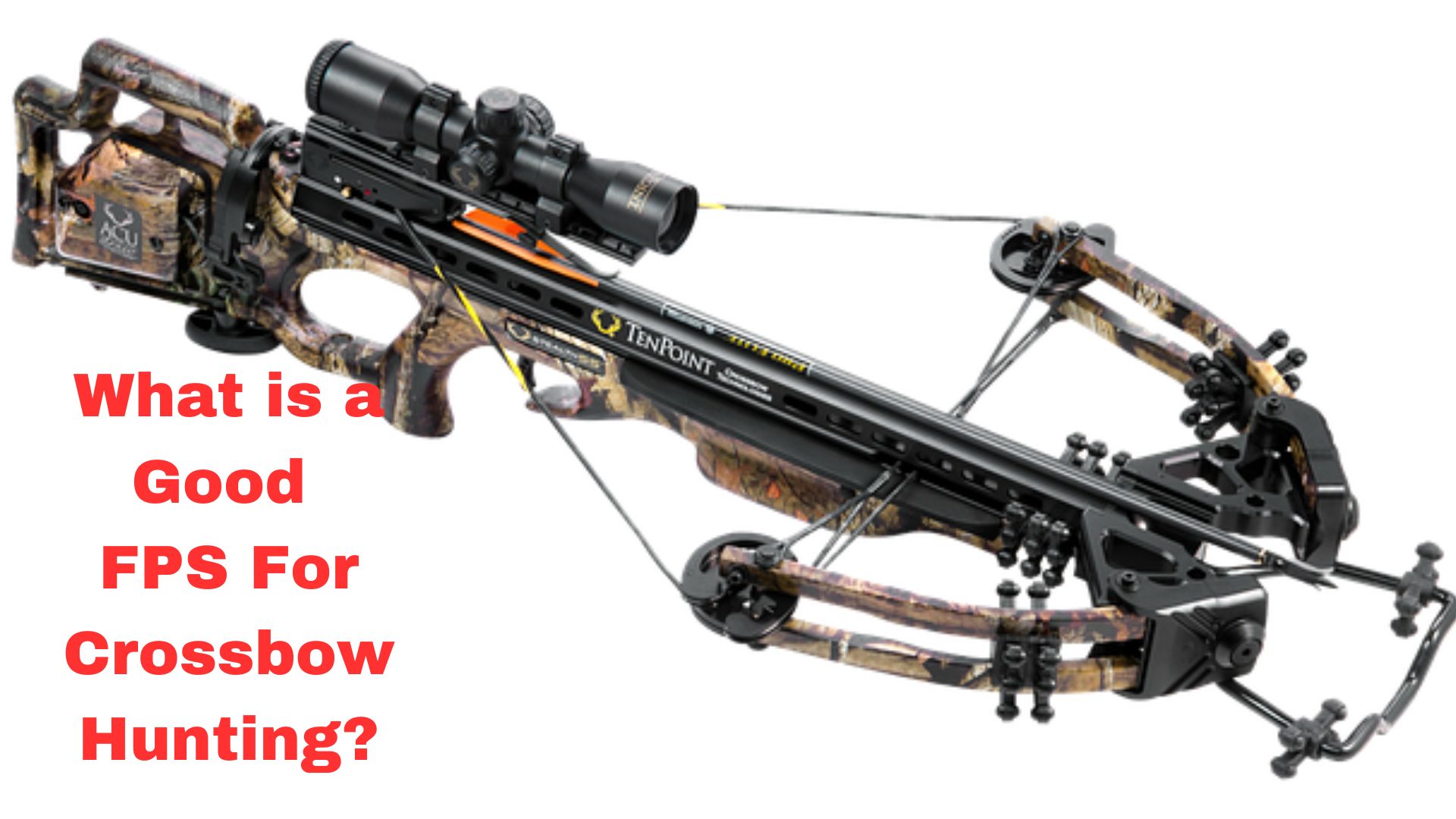 best-crossbow-for-deer-hunting-all-types-budgets-brands